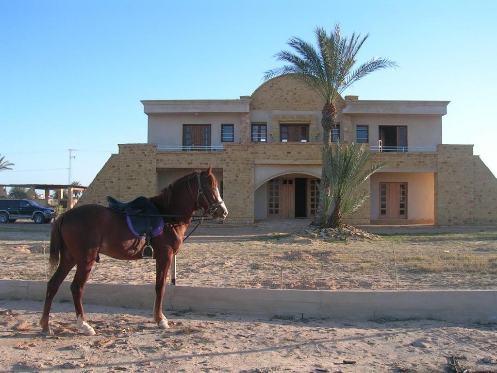 Hotel Bella Djerba Houmt Souk  Zewnętrze zdjęcie